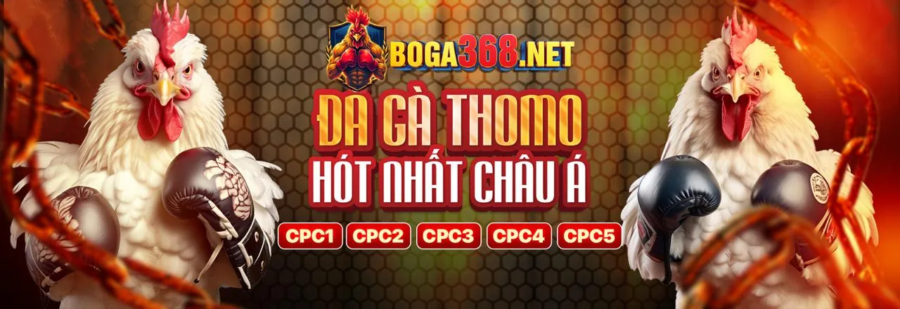 Đá Gà Trực Tuyến Hấp Dẫn tại qh988 nhà cái