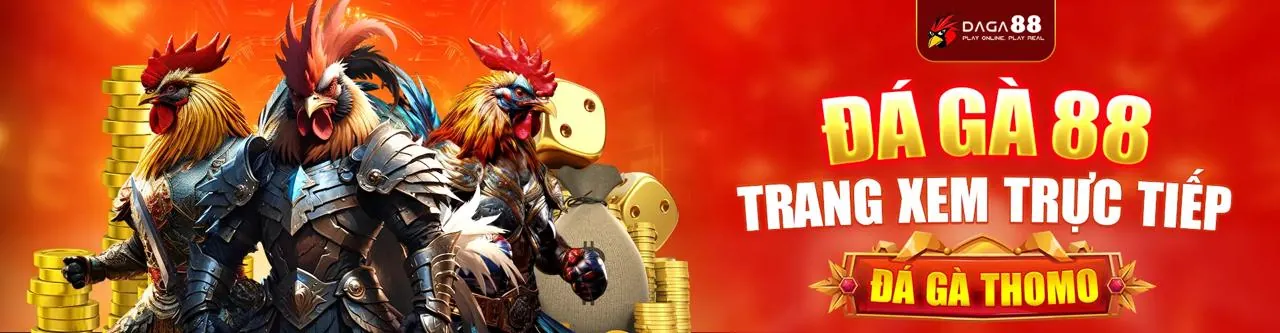 Sân đá gà trực tuyến chuyên nghiệp tại qh988 nhà cái